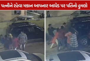 Karelibaug Attack: મકાન રહેવા આપવા મુદ્દે આધેડ પર 5 શખ્સોનો હુમલો, CCTVમાં ઘટના કેદ