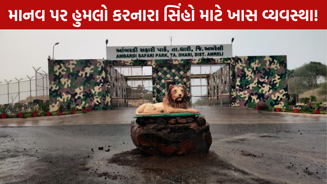 Ambardi Safari Park: સિંહો માટે 100 હેક્ટરનું વિશેષ ક્ષેત્ર