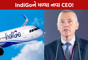 IndiGo New CEO: વિલી વોલ્શ વૈશ્વિક વિસ્તરણ