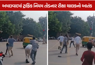 TRB Jawan Attack: સિગ્નલ તોડતાં રોક્યો તો TRB જવાન પર હુમલો