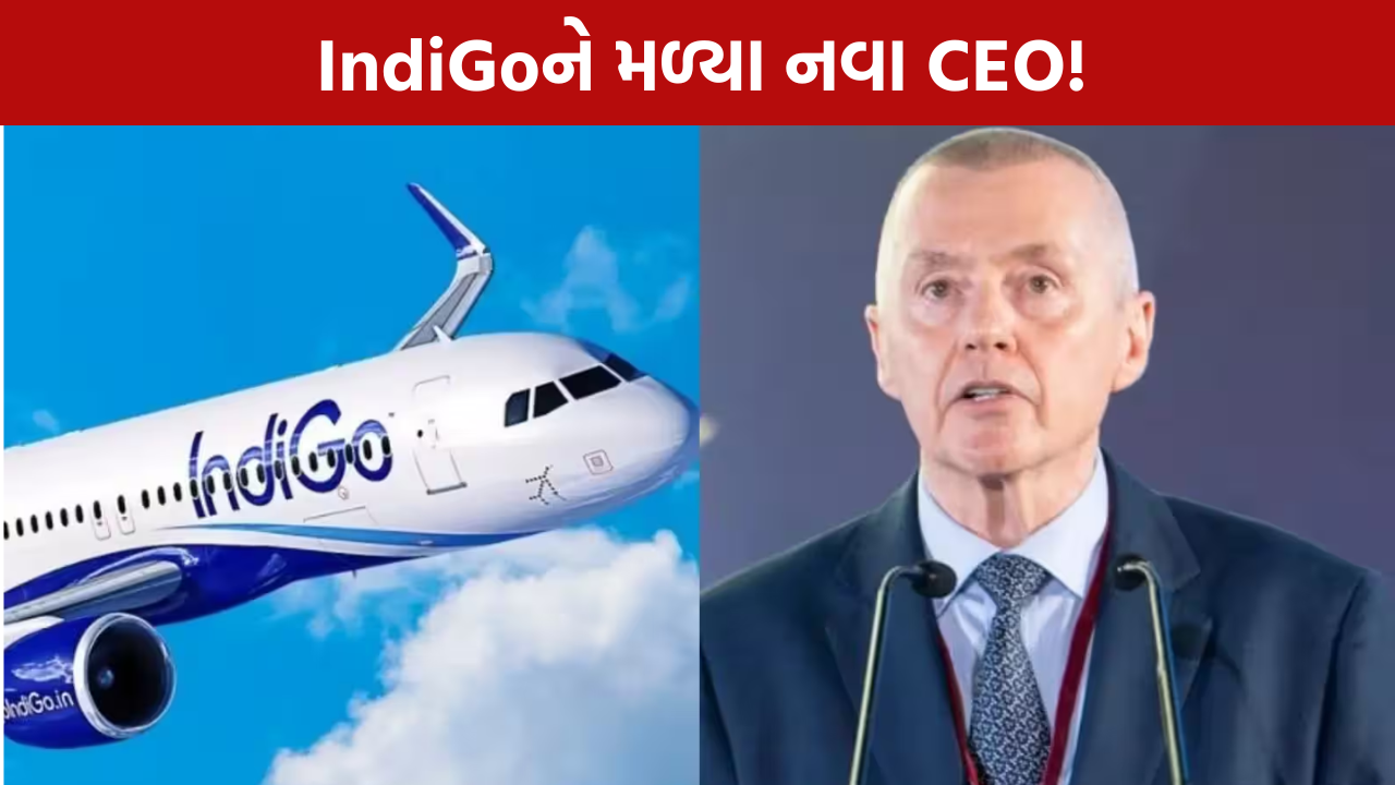 IndiGo New CEO: વિલી વોલ્શ વૈશ્વિક વિસ્તરણ