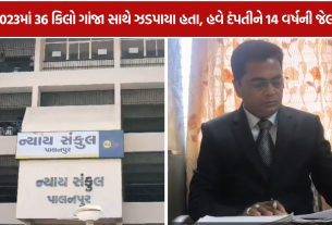 Cannabis Smuggling Case: 36 કિલો ગાંજા કેસમાં દંપતીને 14 વર્ષની સજા