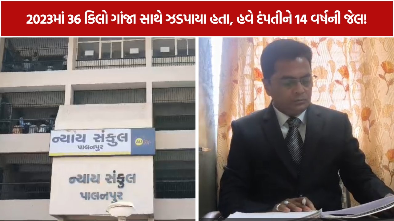 Cannabis Smuggling Case: 36 કિલો ગાંજા કેસમાં દંપતીને 14 વર્ષની સજા