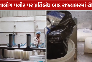 Gujarat Analog Paneer Ban તંત્રનો સખત એક્શન