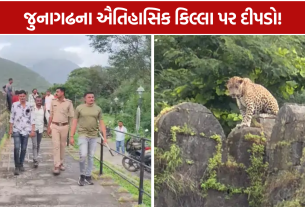 Uparkot Leopard: જુનાગઢમાં પ્રવાસન સ્થળ પાસે દીપડાની હાજરી