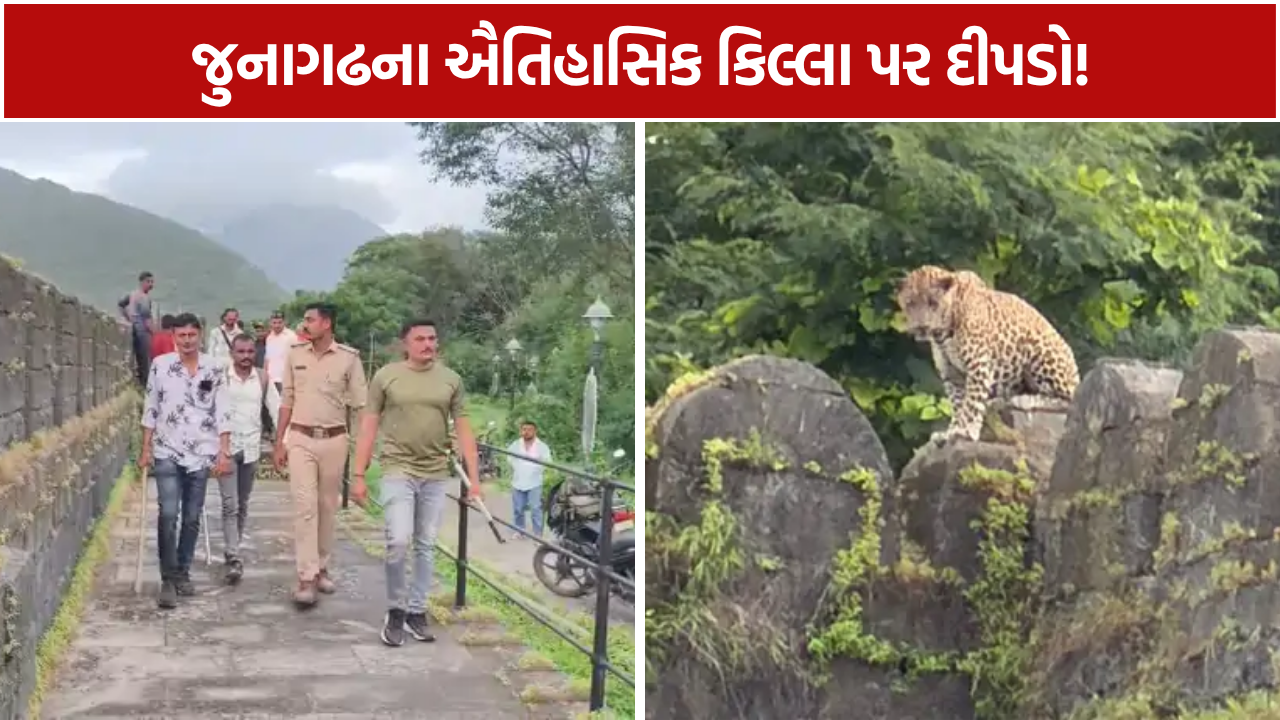 Uparkot Leopard: જુનાગઢમાં પ્રવાસન સ્થળ પાસે દીપડાની હાજરી