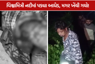 Vadodara Crocodile Attack: પગ લપસતા નદીમાં પડેલા 1 આધેડને મગરે ખેંચી લીધા
