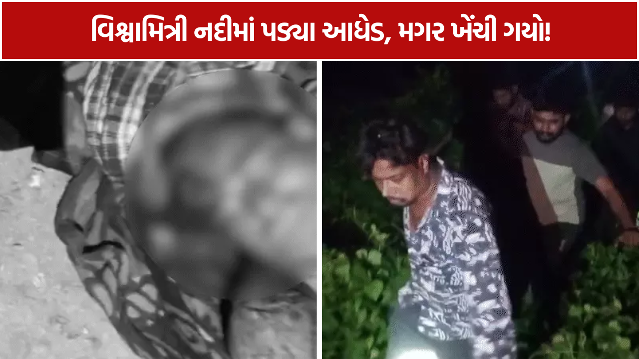 Vadodara Crocodile Attack: પગ લપસતા નદીમાં પડેલા 1 આધેડને મગરે ખેંચી લીધા