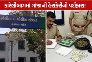 Karelibaug Ganja Seized: 65.93 ગ્રામ ગાંજો અને રોકડ સાથે આરોપી ઝડપાયો