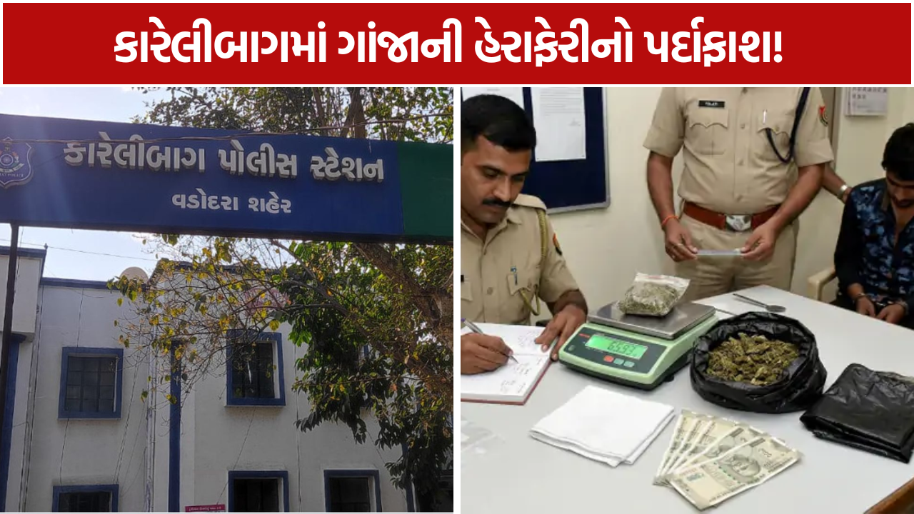 Karelibaug Ganja Seized: 65.93 ગ્રામ ગાંજો અને રોકડ સાથે આરોપી ઝડપાયો