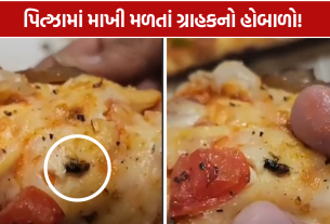 Domino's Pizza Rajkot: રાજકોટમાં ડોમિનોઝના પિત્ઝામાંથી માખી નીકળ્યાનો દાવો