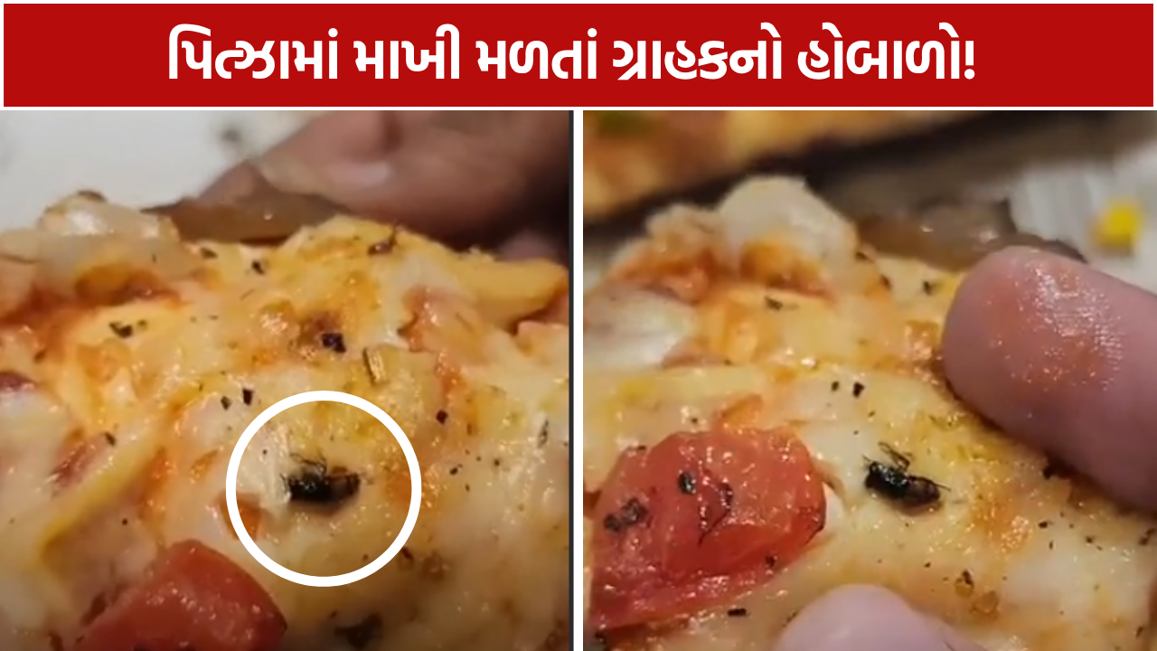 Domino's Pizza Rajkot: રાજકોટમાં ડોમિનોઝના પિત્ઝામાંથી માખી નીકળ્યાનો દાવો