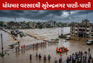 Surendranagar Flood: વરસાદથી પાણી પાણી