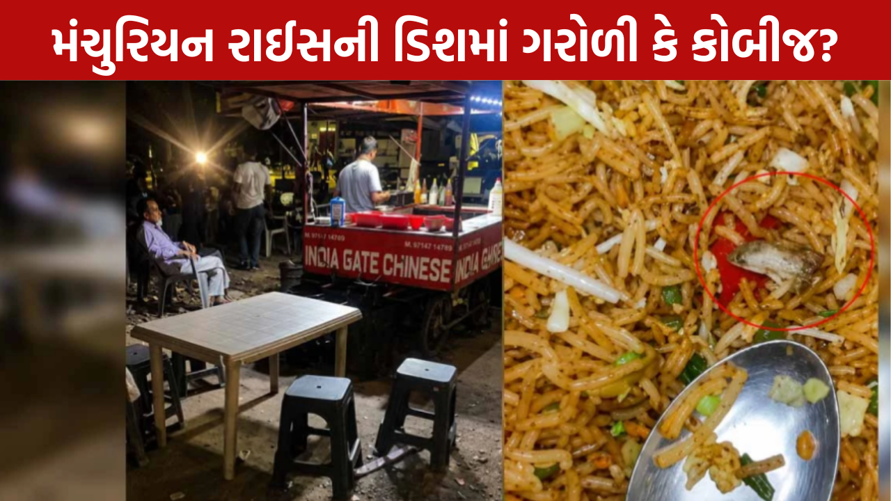 Manchurian Rice Lizard: છાણીમાં ચાઈનીઝ ફૂડ પર બબાલ