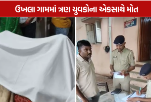 Ukhla Village Incident: અચાનક ભાગદોડ મચી અને 3 યુવકો કૂવામાં પડ્યા