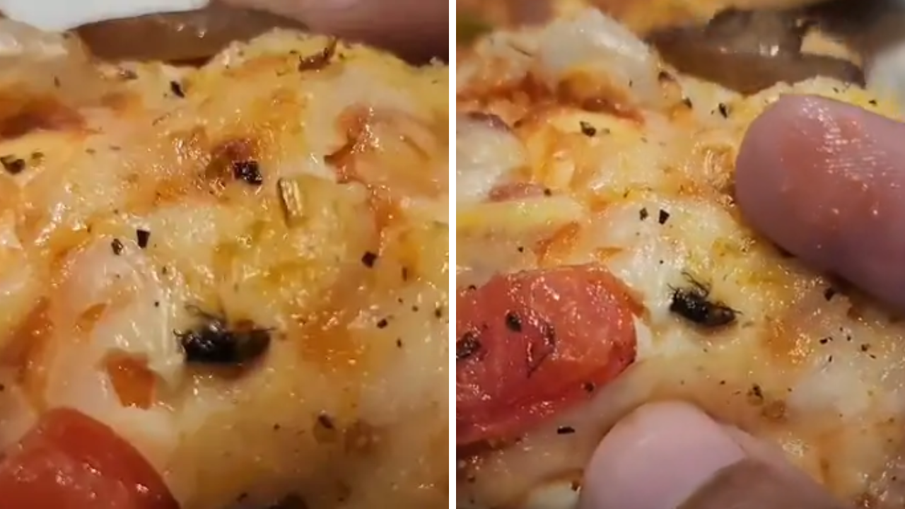 Domino's Pizza Rajkot: રાજકોટમાં ડોમિનોઝના પિત્ઝામાંથી માખી નીકળ્યાનો દાવો