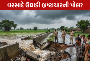 Development Work: વરસાદે ખોલી વિકાસકાર્યોની પોલ