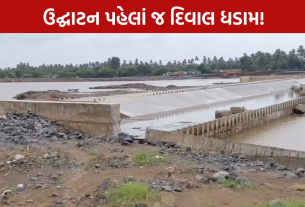 Navsari Dam Wall Collapse: ઉદ્ઘાટન પહેલાં જ દિવાલ ધડામ!