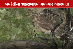 Jafrabad Accident: ટ્રેક્ટર અને બાઈક વચ્ચે ભયાનક ટક્કર, 2 યુવકોએ ગુમાવ્યો જીવ