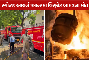 Jharkhand Factory Blast: આગ ફેલાતાં 3 એન્જિનિયરોના મોત, 1 ગંભીર
