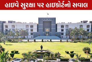 Gujarat HC Stray Dogs Case: NHAIને કડક ટકોર