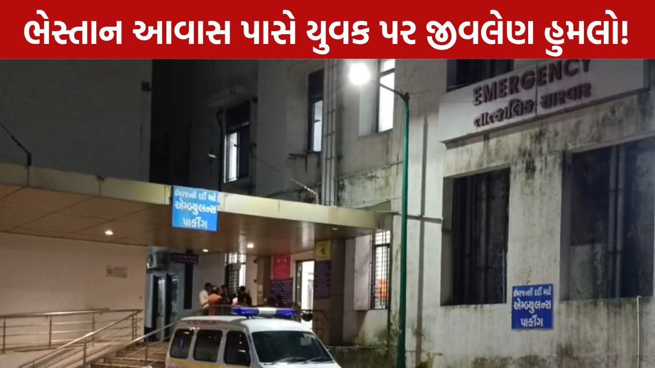 Sahil Khan Attack: આરોપીઓની શોધમાં પોલીસ દોડતી થઈ