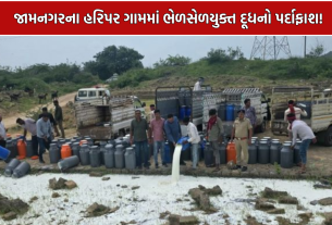 Jamnagar Fake Milk: જામનગરના હરિપર ગામે નકલી દૂધનું કૌભાંડ ઝડપાયું