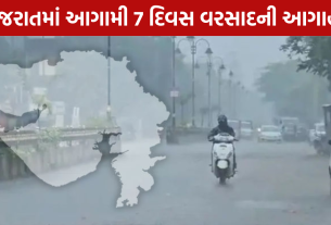 IMD Gujarat Weather: 7 દિવસ વરસાદની આગાહી