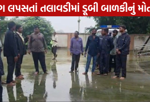 Girl Drowned: તલાવડીમાં ડૂબી બાળકીનું મોત
