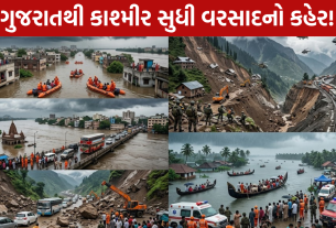 India Heavy Rain: ગુજરાતથી કાશ્મીર સુધી વરસાદનો કહેર