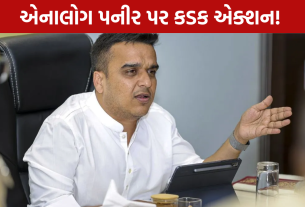 Analogue Paneer Task Force હર્ષ સંઘવીનો મોટો નિર્ણય