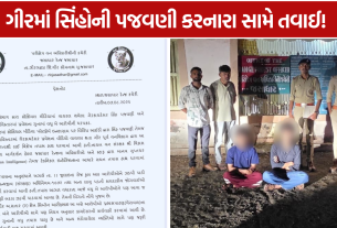 Lion Harassment Case વધુ 2 આરોપી ઝડપાયા, કુલ 10 લોકોની ધરપકડ
