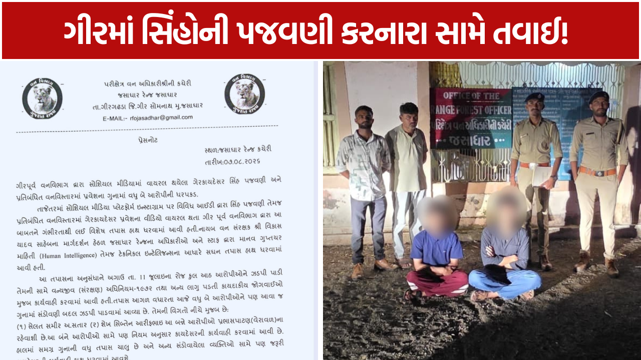 Lion Harassment Case વધુ 2 આરોપી ઝડપાયા, કુલ 10 લોકોની ધરપકડ