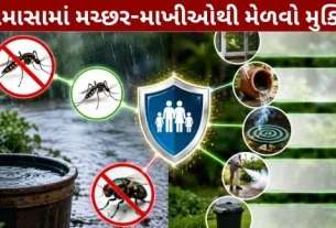 Get relief from mosquitoes-flies during the monsoon.