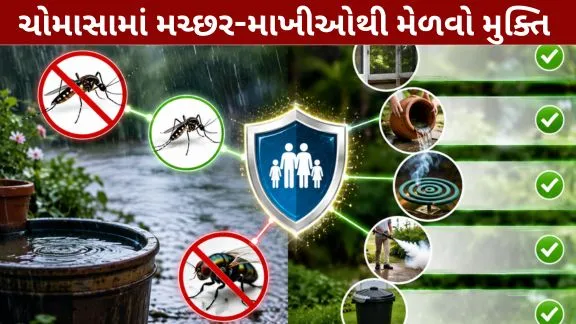 Get relief from mosquitoes-flies during the monsoon.