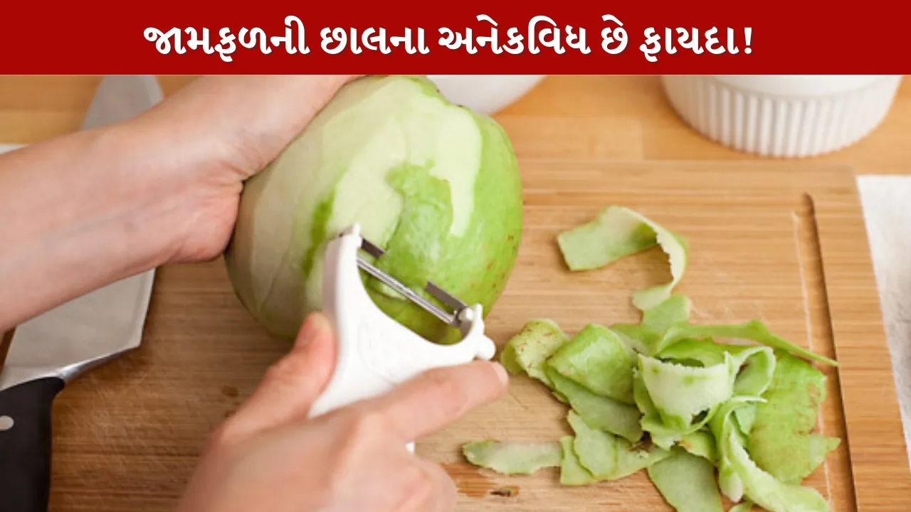 Guava Peels Tips...ઘર અને ગાર્ડનીંગ માટે ઉપયોગી..!