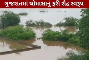 છેલ્લા 24 કલાક દરમિયાન રાજ્યના અનેક જિલ્લાઓમાં ધોધમાર વરસાદ (Gujarat Rain)વરસતા જનજીવન સંપૂર્ણપણે અસ્તવ્યસ્ત બન્યું છે