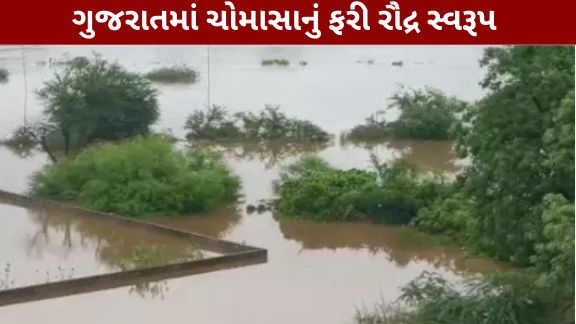 છેલ્લા 24 કલાક દરમિયાન રાજ્યના અનેક જિલ્લાઓમાં ધોધમાર વરસાદ (Gujarat Rain)વરસતા જનજીવન સંપૂર્ણપણે અસ્તવ્યસ્ત બન્યું છે