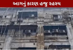 કોલકાતામાં મંગળવારે મોડી રાત્રે એક હોટલમાં લાગેલી ભીષણ આગ (Hotel Fire)ની ઘટનાએ ચકચાર મચાવી દીધી છે