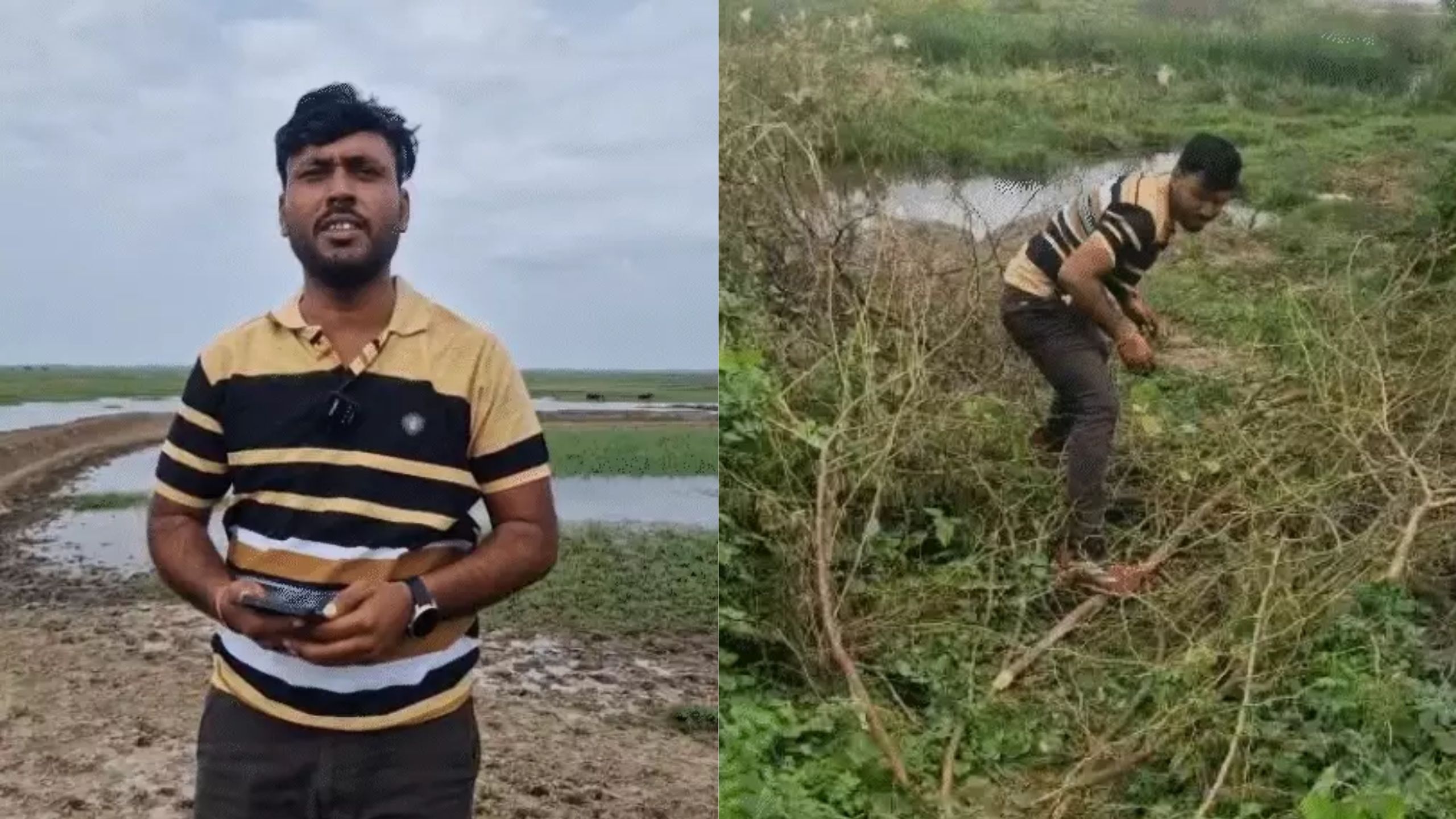 Khambhat Chemical Pollution