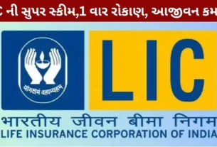 LIC's Super Scheme