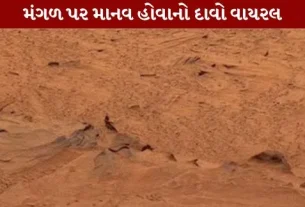 Mars Claim of a 'human' on goes viral