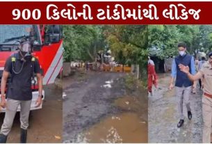 મહારાષ્ટ્રના નાગપુરમાં ગોધની વિસ્તારમાં વોટર ટ્રીટમેન્ટ પ્લાન્ટમાંથી ક્લોરિન ગેસ લીકેજ (Nagpur Gas Leak)થતાં લોકોમાં અફરાતફરી મચી ગઈ હતી