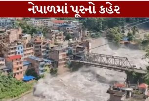 નેપાળ-તિબેટ સરહદ નજીક બુધવારે સવારે આવેલા અચાનક ફ્લેશ ફ્લડે (Nepal Flood)અનેક વિસ્તારોમાં ભારે વિનાશ સર્જ્યો છે