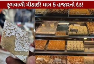 Cashew Katri