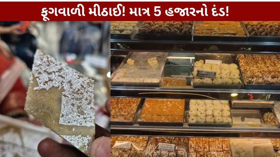 Cashew Katri