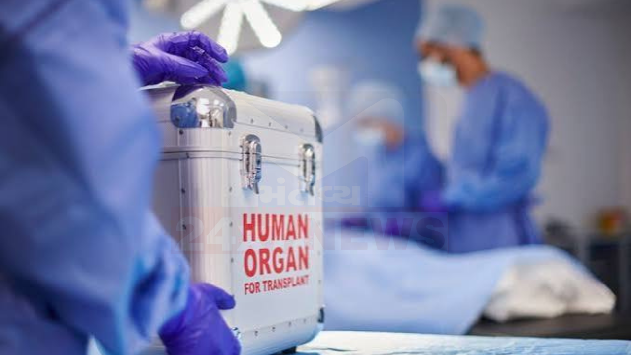 World Organ Donation Day