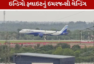 Indigo Flight