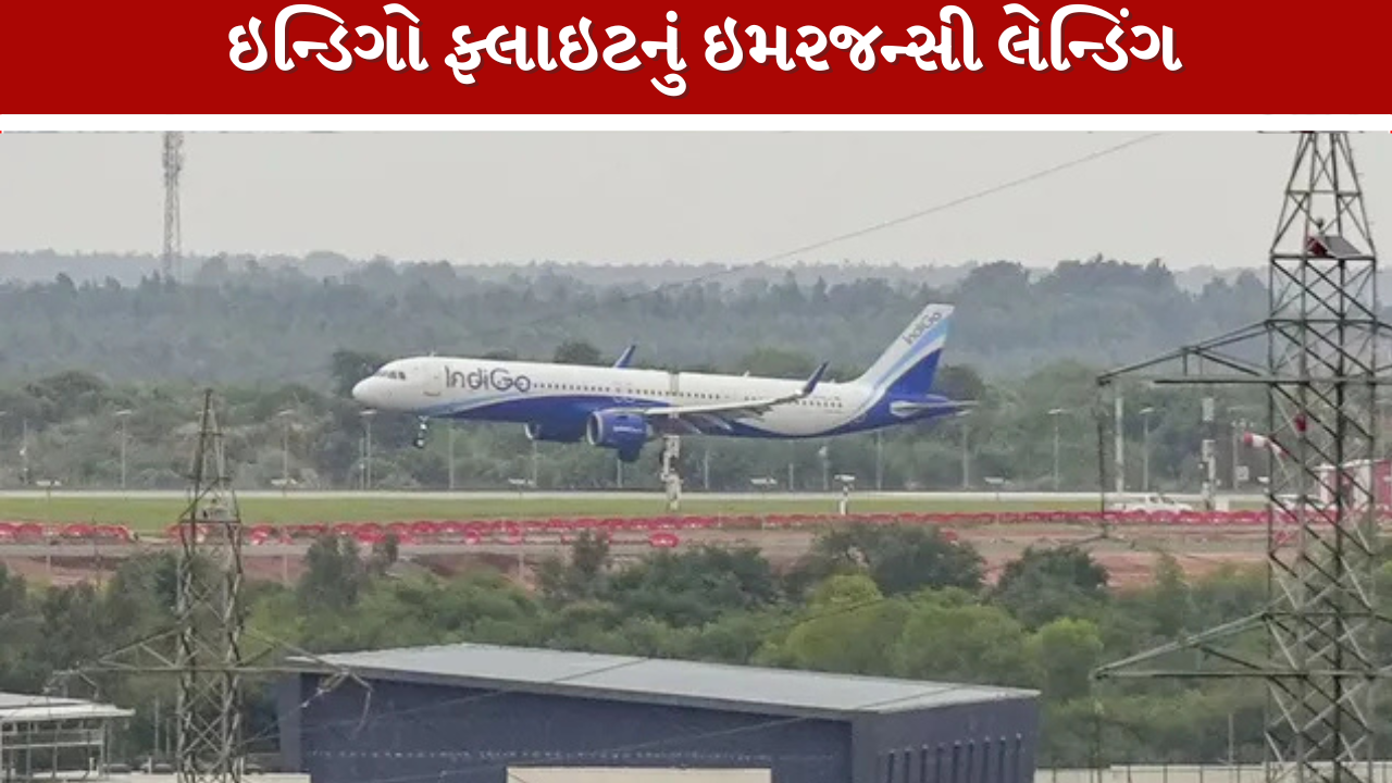 Indigo Flight