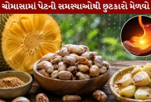 Properties of Jackfruit Seeds